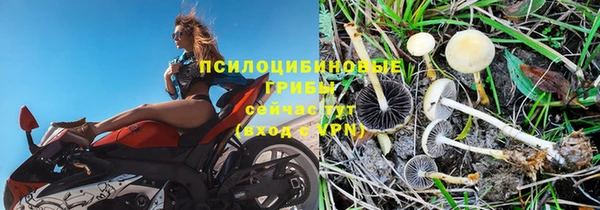 хмурый Липки