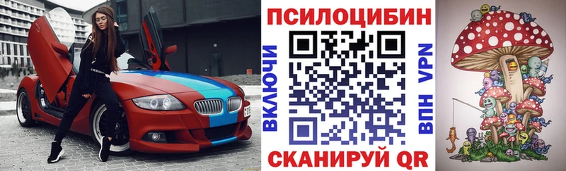Псилоцибиновые грибы GOLDEN TEACHER  Ставрополь 