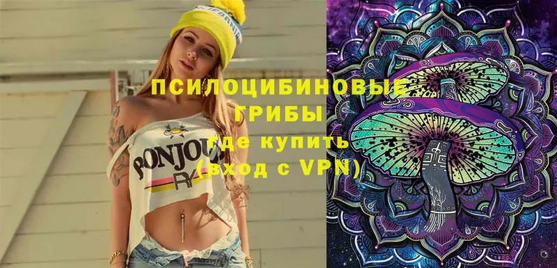 магазин продажи   Ставрополь  Псилоцибиновые грибы MAGIC MUSHROOMS 