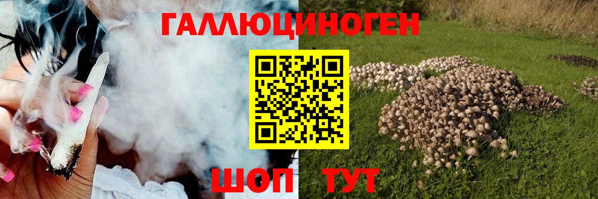 Ставрополь  Псилоцибиновые грибы GOLDEN TEACHER  Псилоцибиновые грибы ЛСД  Вход с VPN 