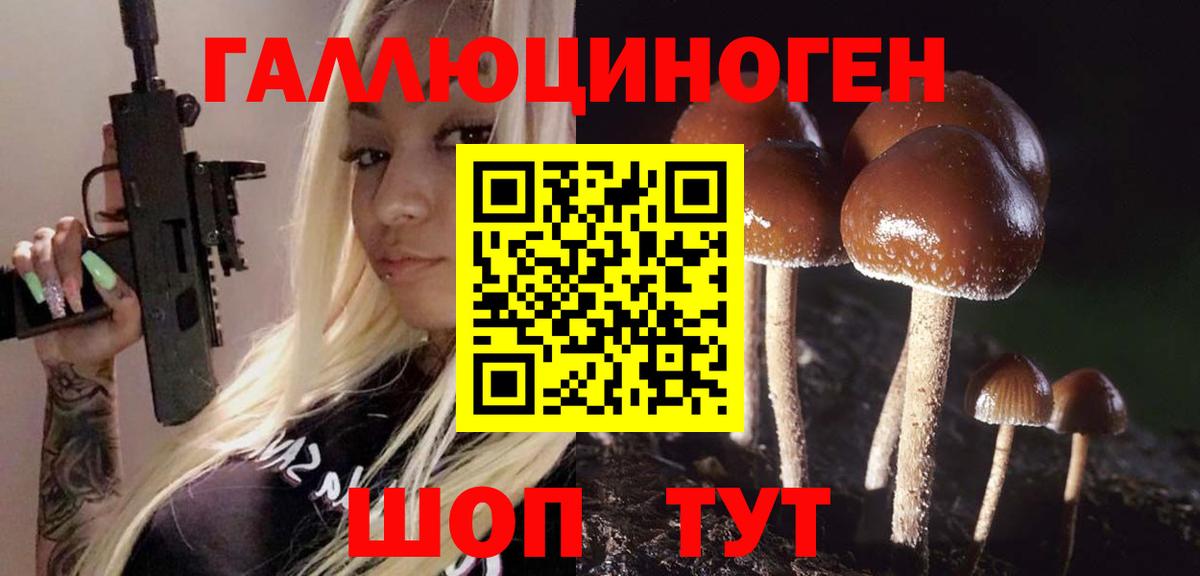 Псилоцибиновые грибы Magic Shrooms Ставрополь